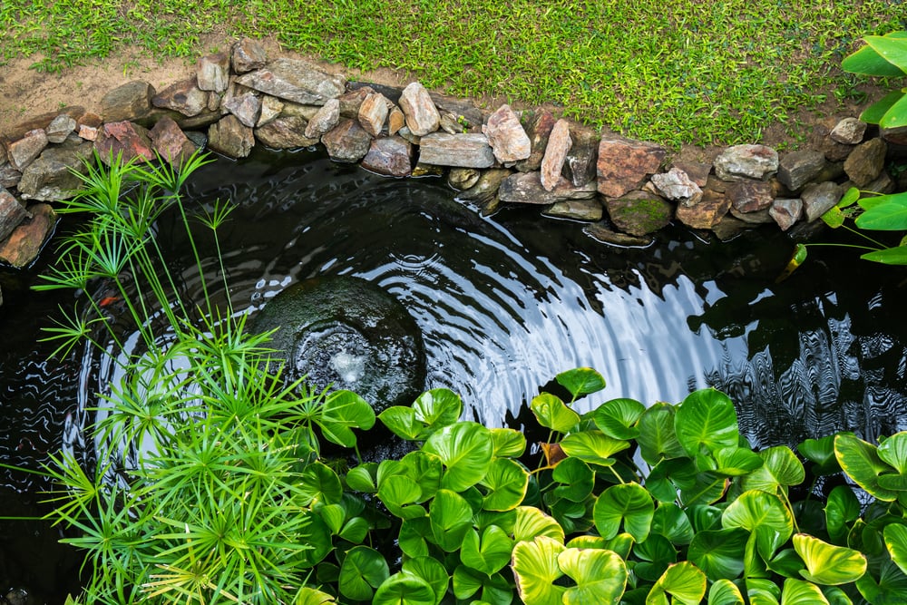 may bom san vuon pond