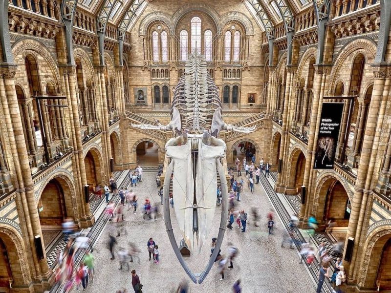 Khám phá thế giới tự nhiên qua những bảo tàng sinh học