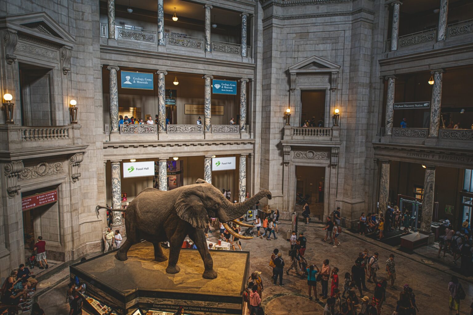 bao tang sinh hoc National Museum of Natural History washington dc usa