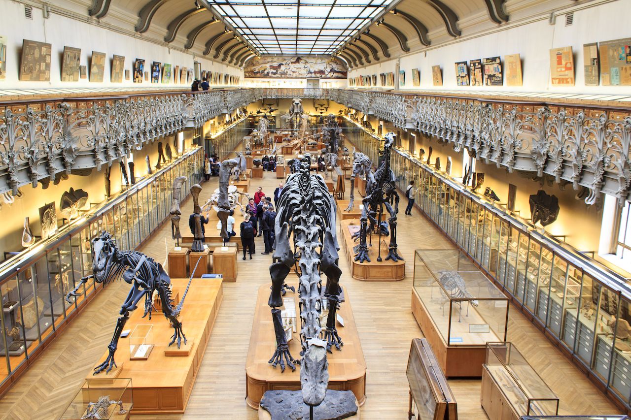 bao tang sinh hoc French National Museum of Natural History paris france