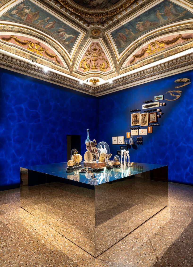 trien lam Cabinet of Wonders Wunderkammer Palazzo Grimani Venice