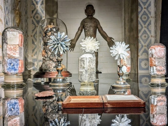 Triển lãm Cabinet of Wonders: Những kỳ quan trong tủ báu