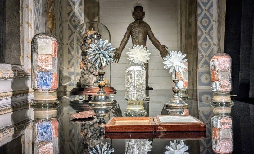 Cabinet of Wonders Wunderkammer Palazzo Grimani Venice