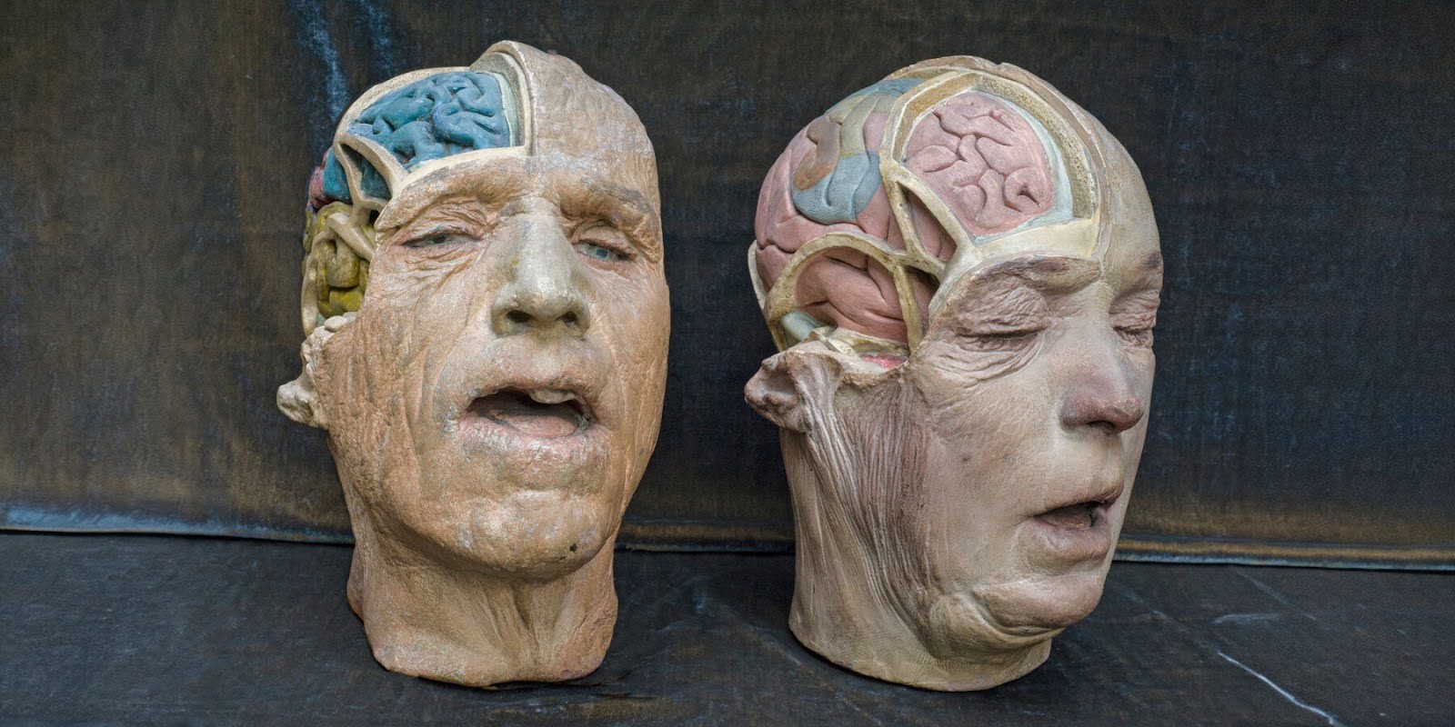 trien lam Cabinet of Wonders Wunderkammer Palazzo Grimani Venice