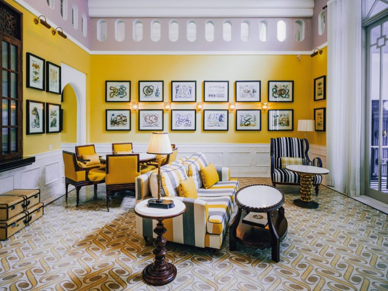 Đón năm Kỷ Tỵ và khám phá thế giới động vật tại đảo ngọc Phú Quốc