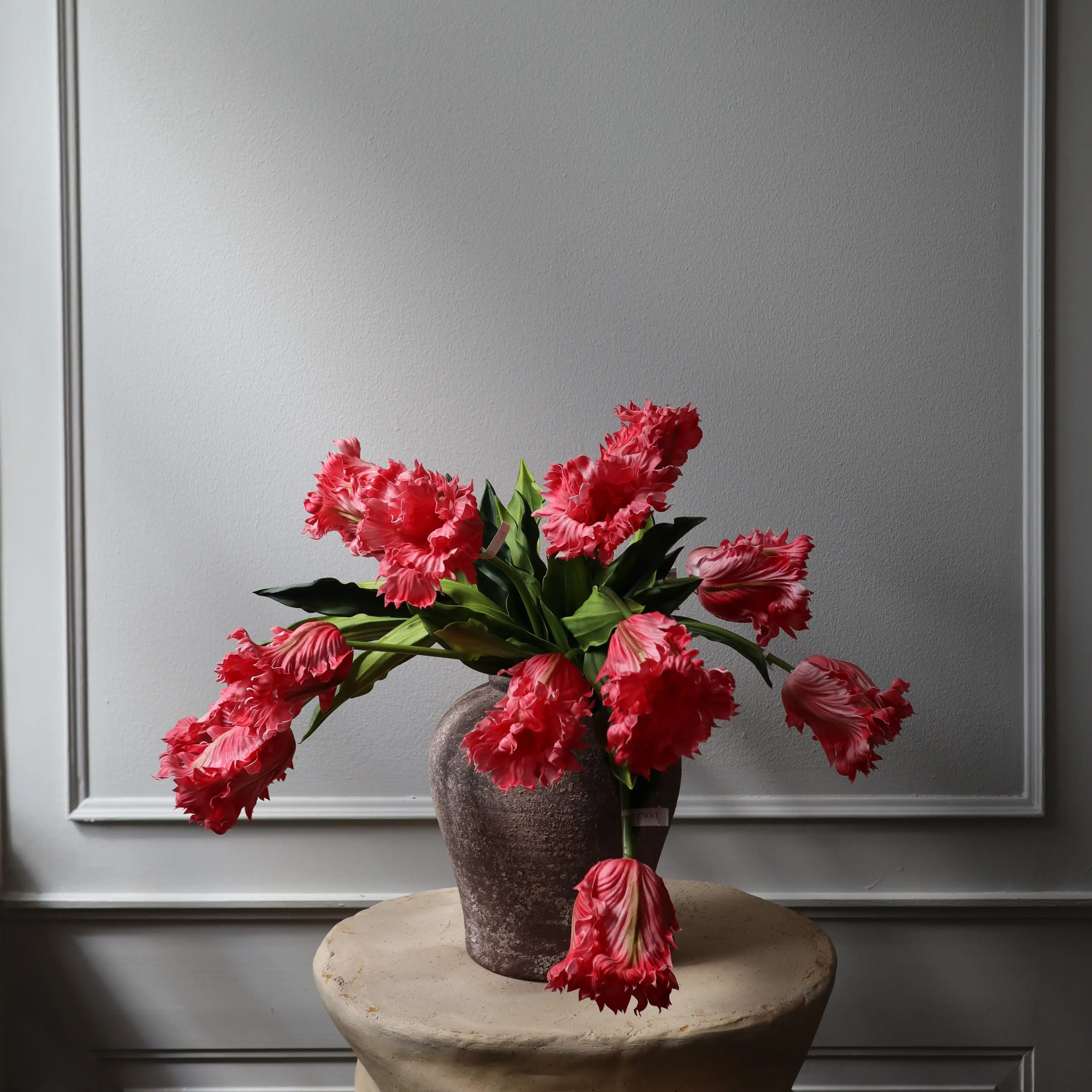 binh hoa tulip vet