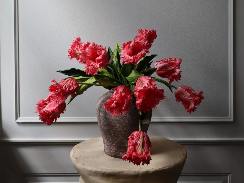 Hoa tulip: Đặc điểm và hành trình trở thành một biểu tượng văn hóa