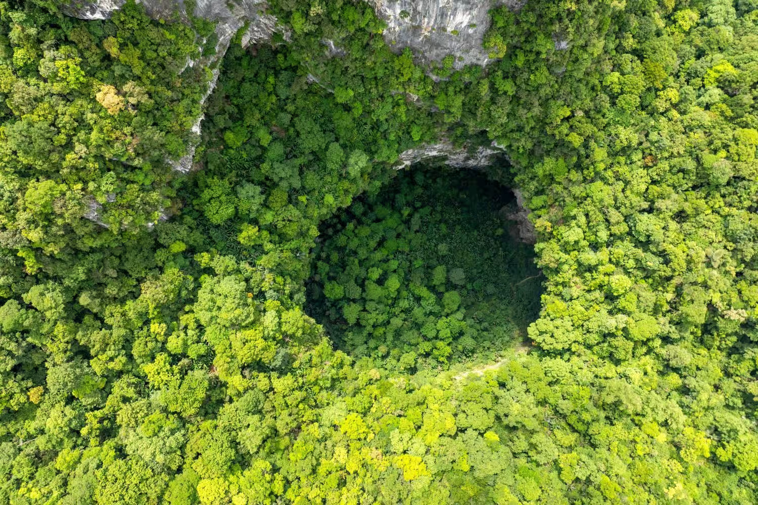 hang dong son doong quang binh viet nam son doong cave