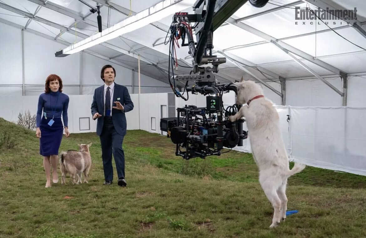 Severance movie Mark Scout Adam Scott Ben Stiller Dan Erickson Lumon