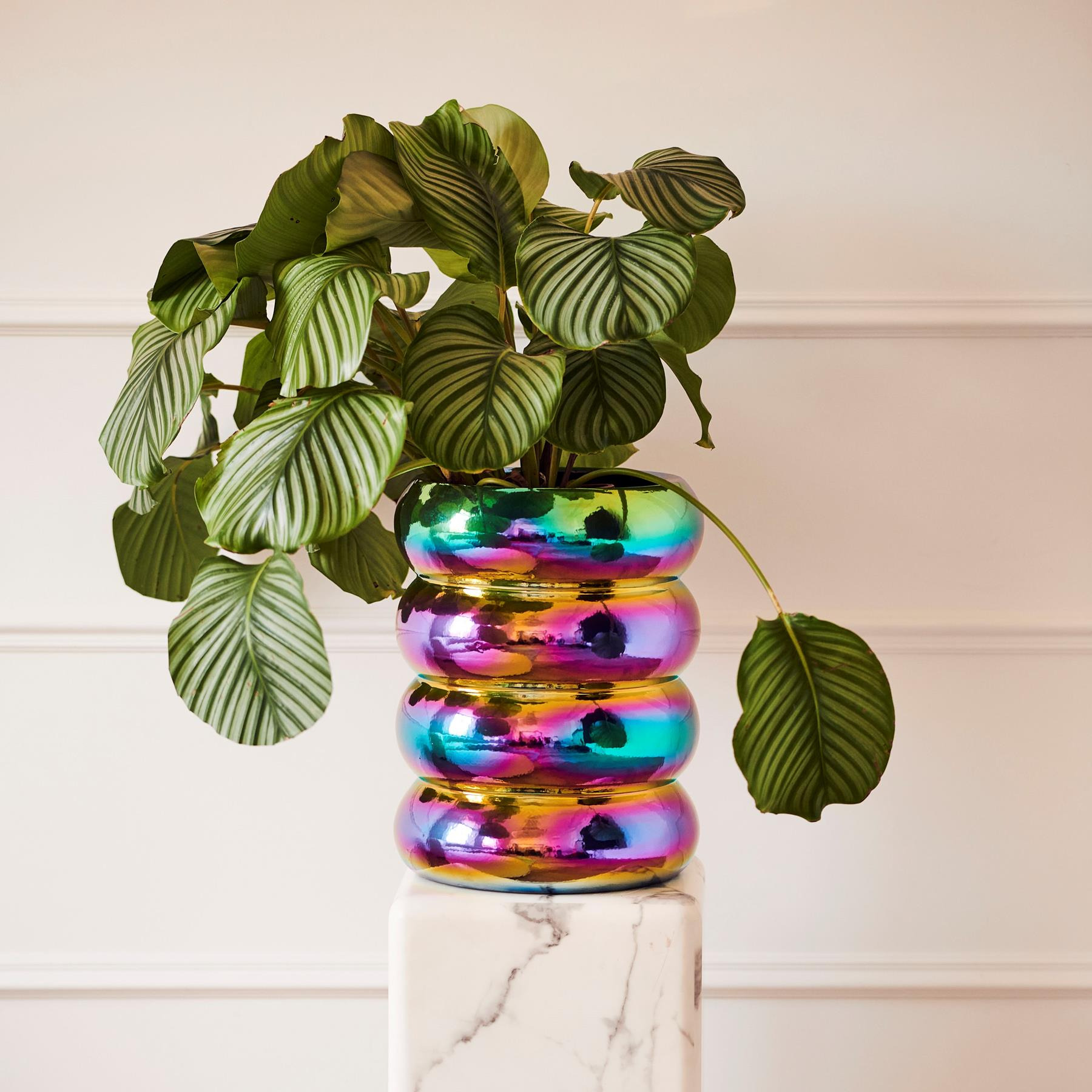 plant pot flower pot Chubby Pols Potten