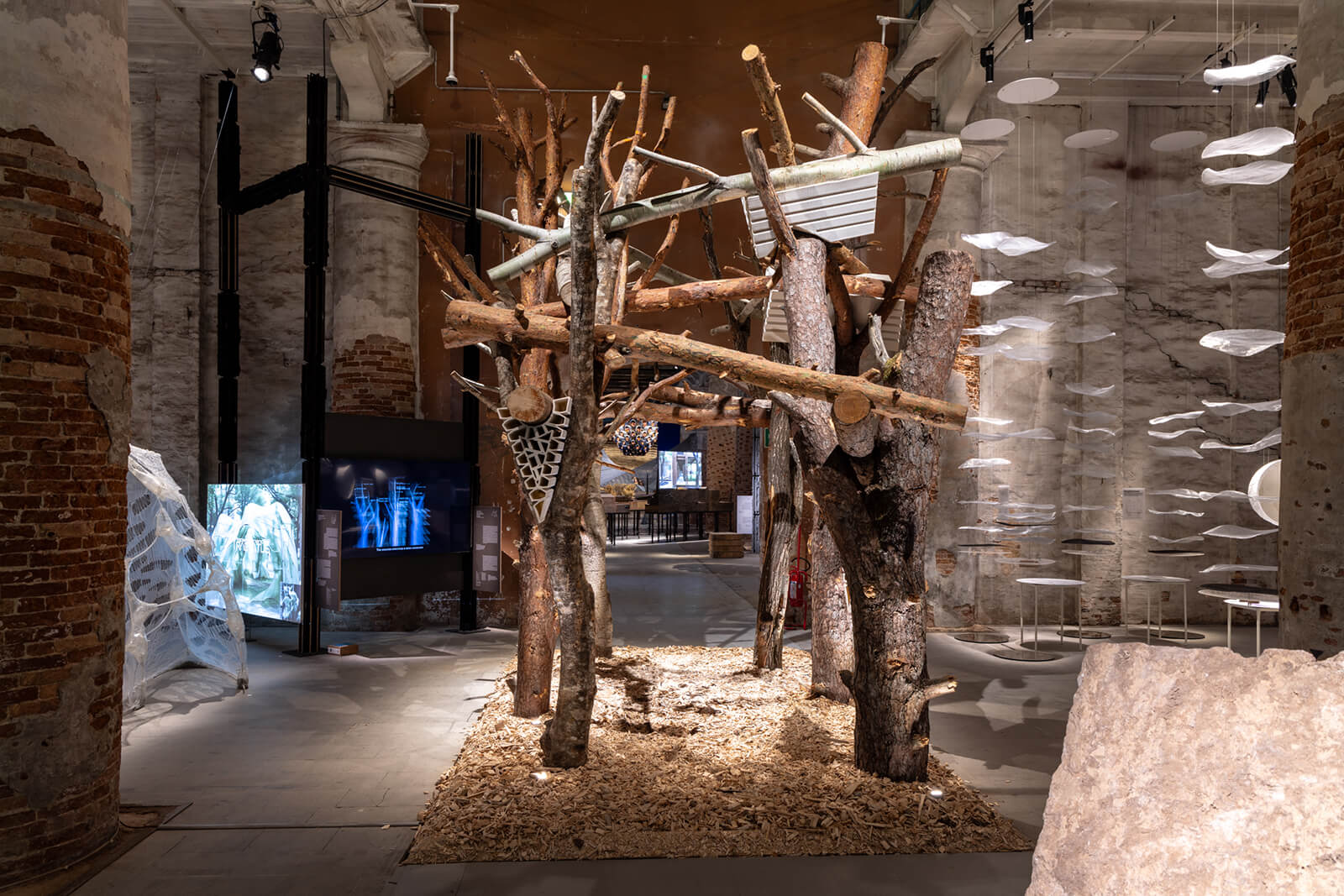 thu vien trien lam biennale diller scofidio rendro kien truc su carlo ratti kengo kuma