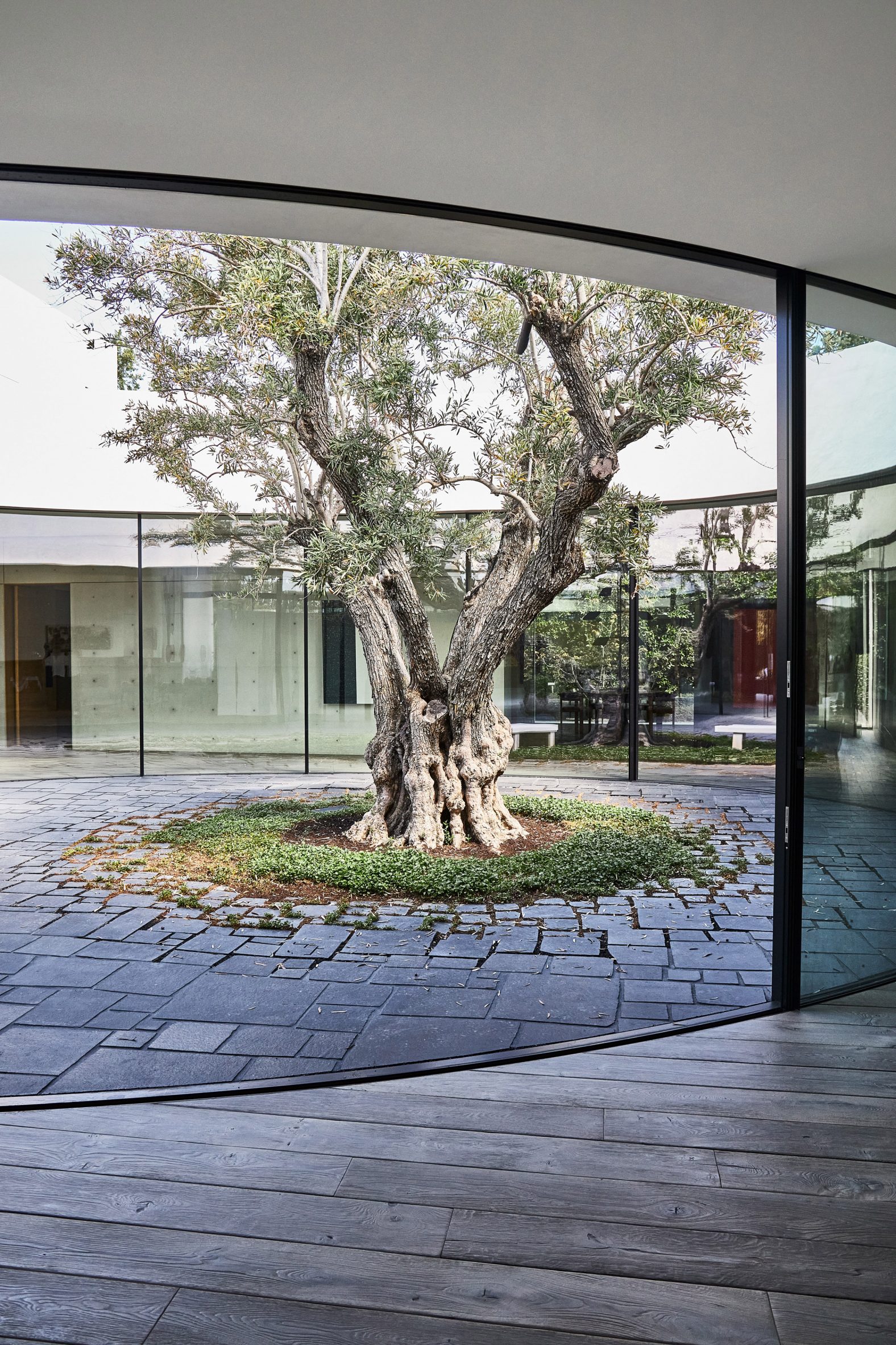 cua kinh glass door Masastudio