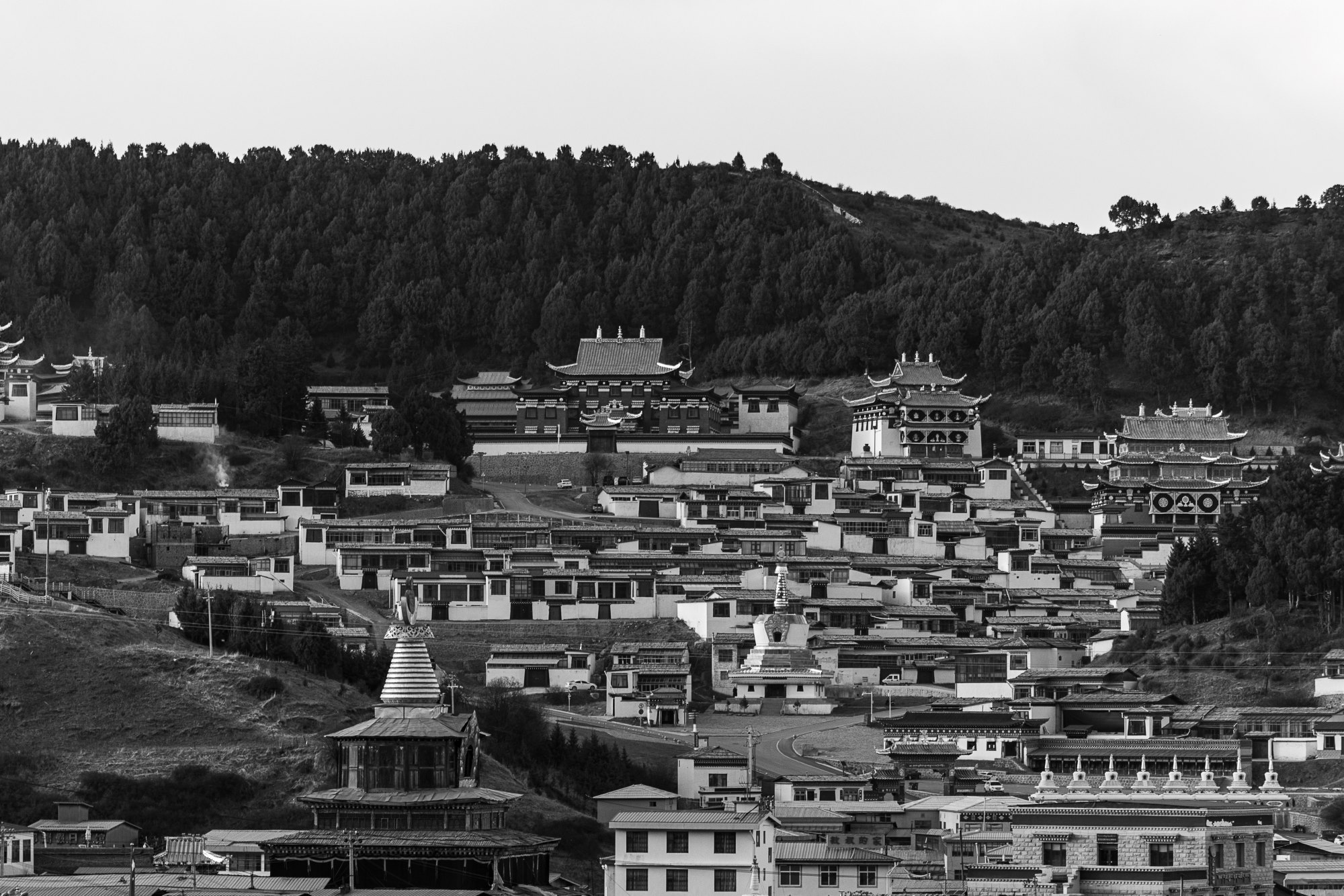 tay tang tu vien du lich hoang le giang