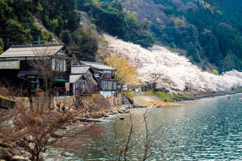 kien truc tac pham van hoc dep va buon Utsukushisa to Kanashimi to Nobel Kawabata Yasunari Oki Toshio Ueno Otoko