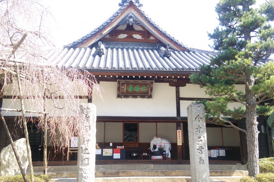 hot stream Arima Onsen nhat ban