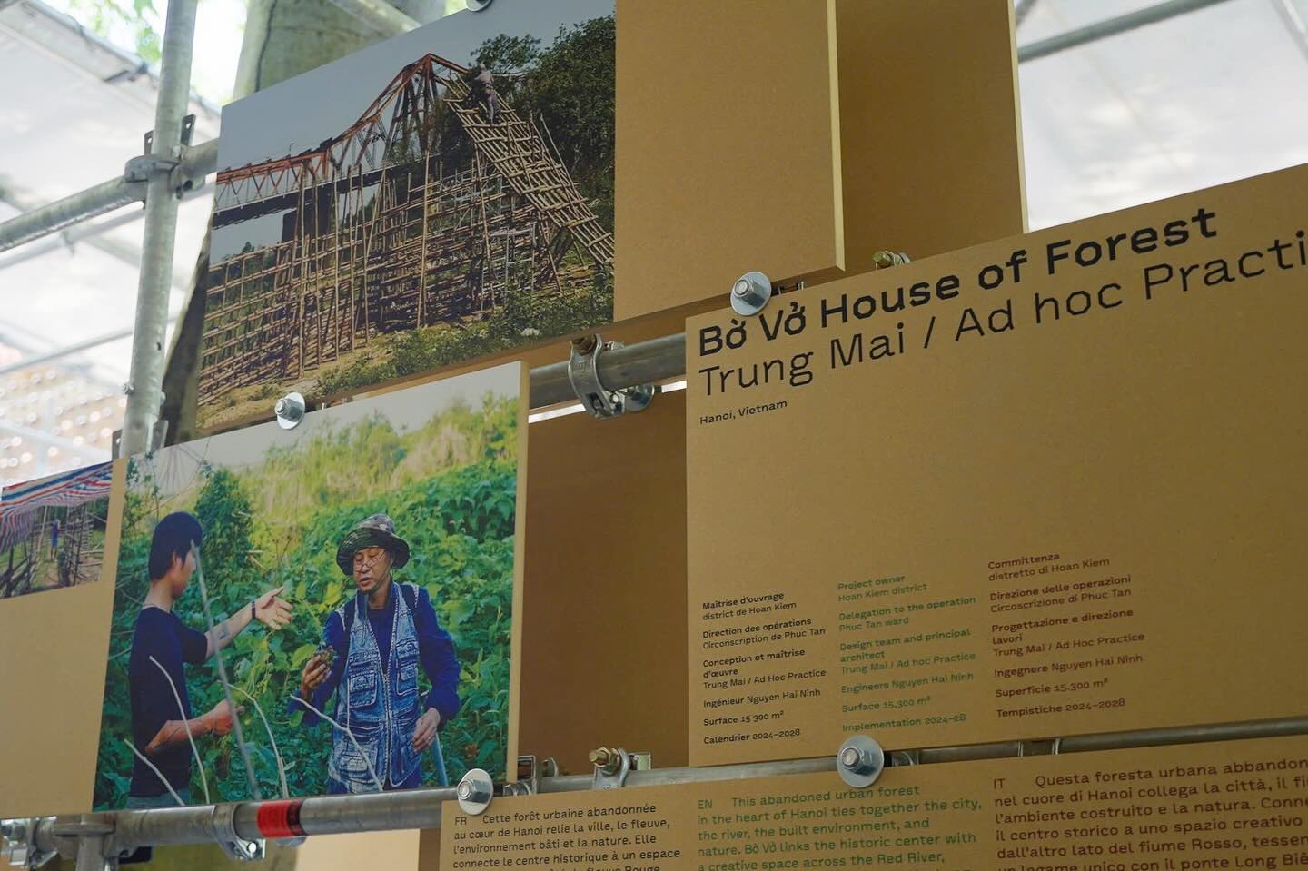 kien truc su trung mai hanoi ad hoc hanoi ad practice venice biennale 2025 the grid house of forest