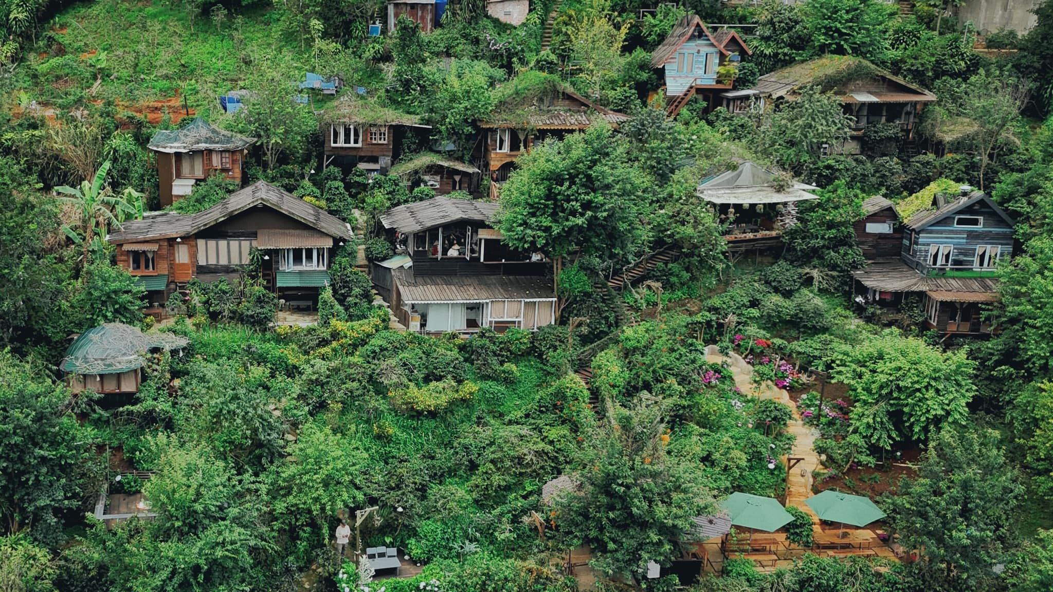 khach san luu tru da lat Homestay cu tren cay