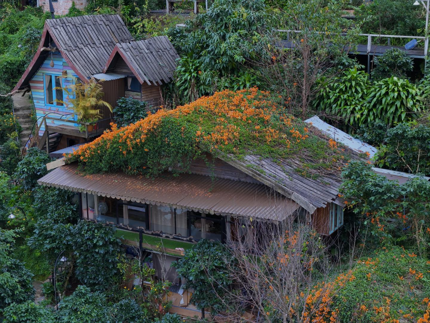 khach san luu tru da lat Homestay cu tren cay