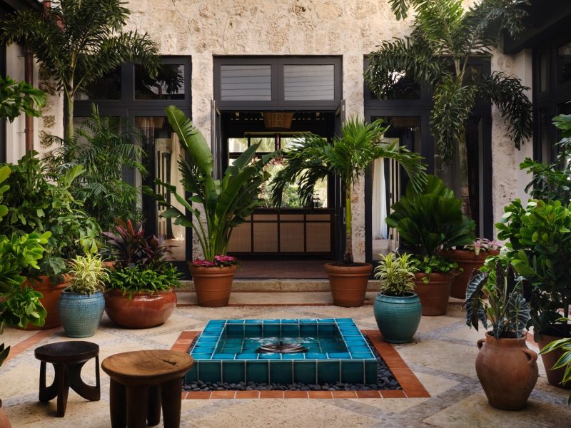 Nhà nhiệt đới Bahamas: Bản tình cho tâm hồn người nghệ sĩ