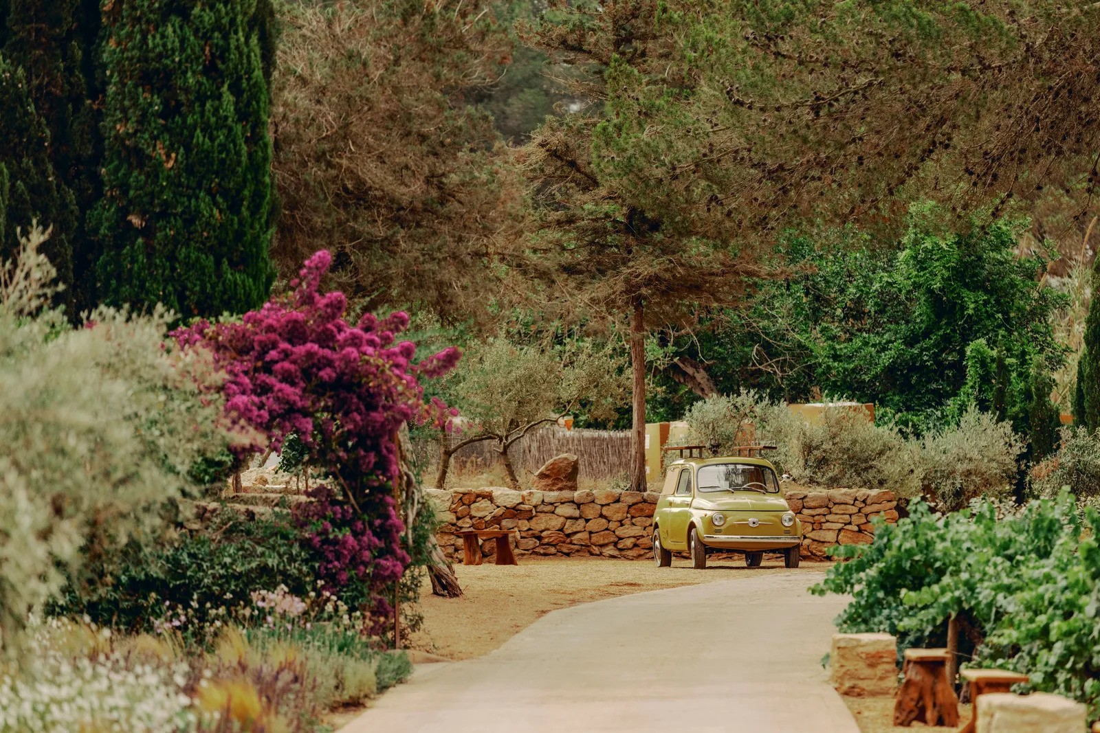 Soho Farmhouse Ibiza khu nghi duong dia trung hai san vuon