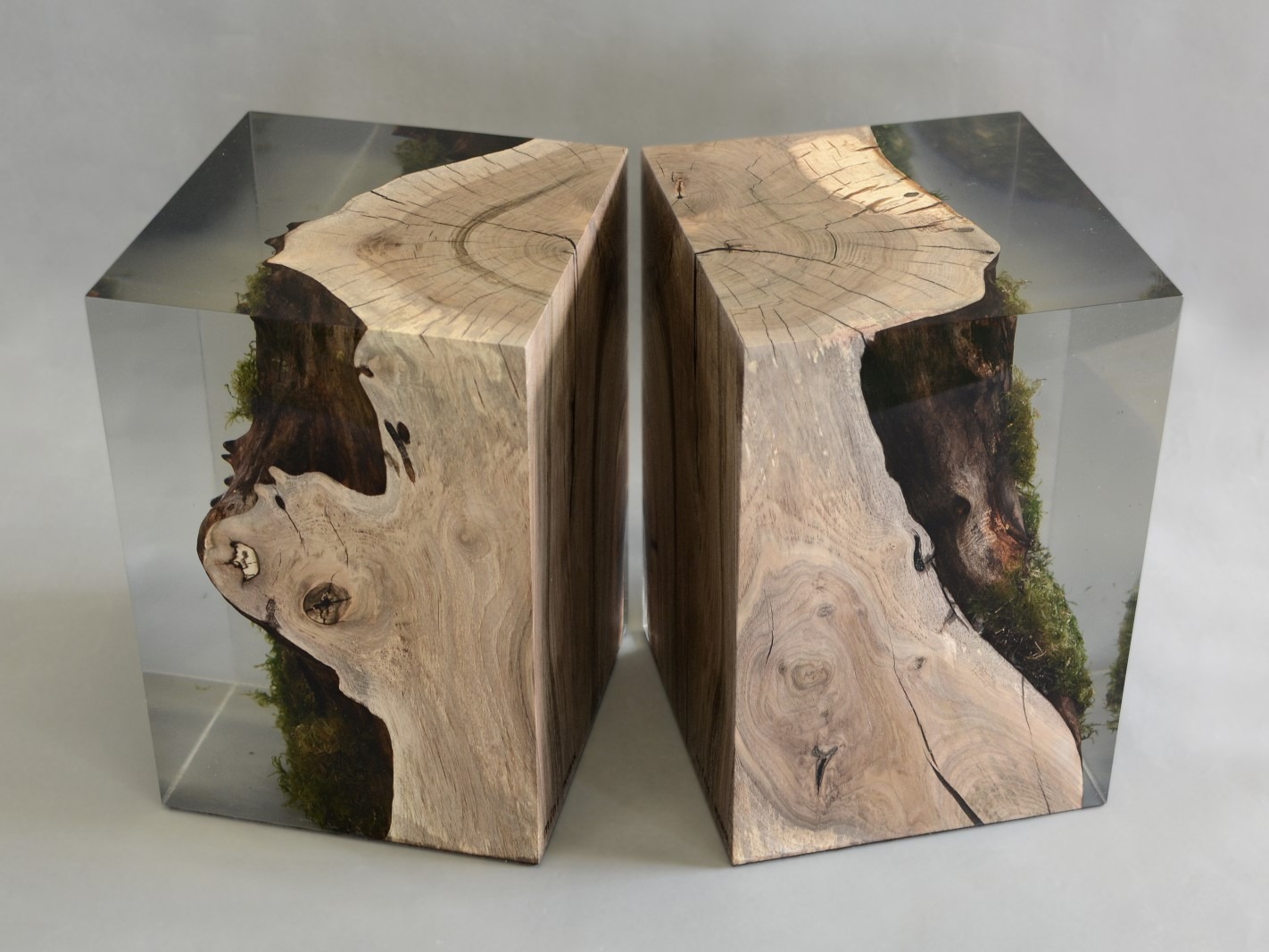 do noi that walnut interior STUMP WALNUT Alcarol