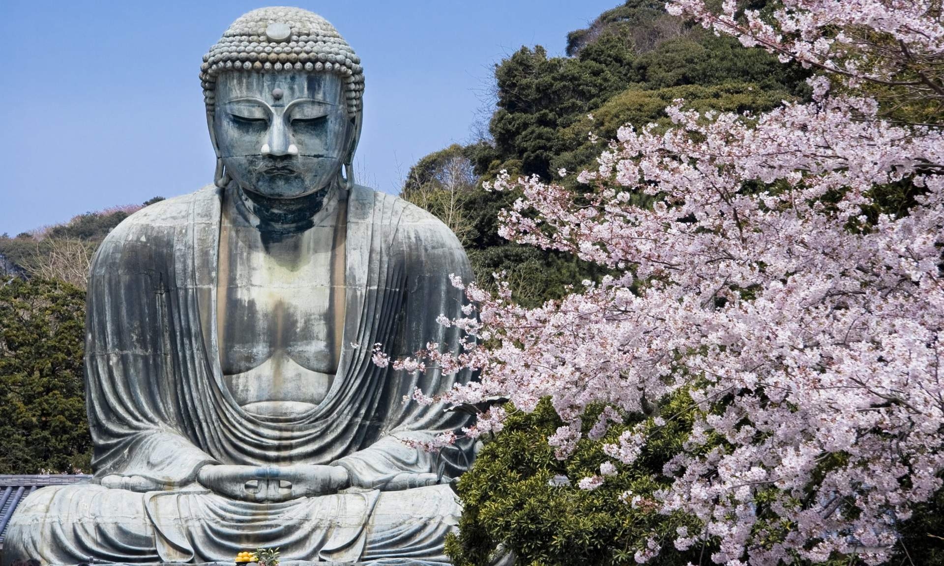 buddha statue