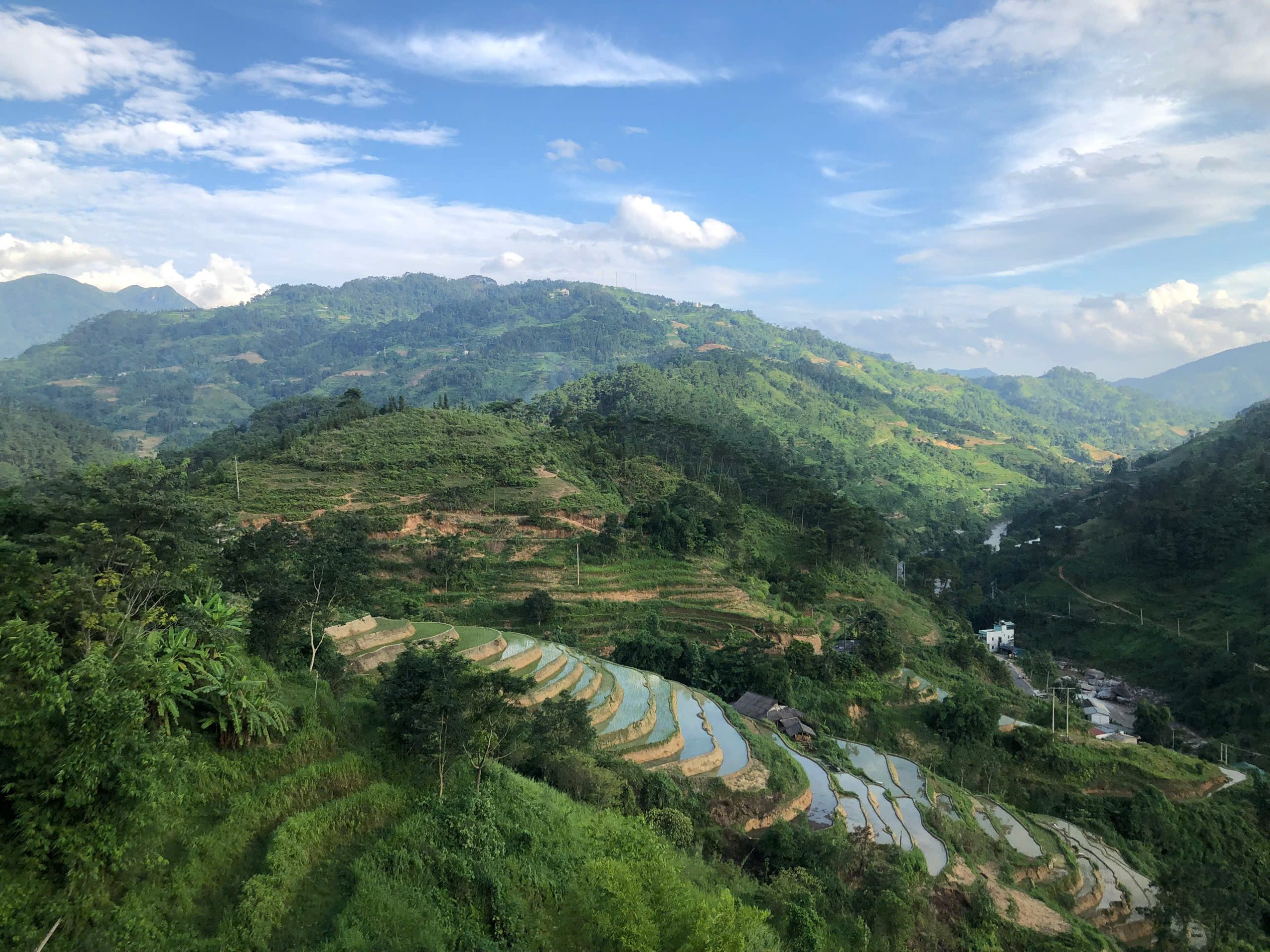 hoang su phi tay con linh ha giang tra