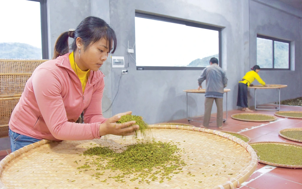 hoang su phi tay con linh ha giang tra