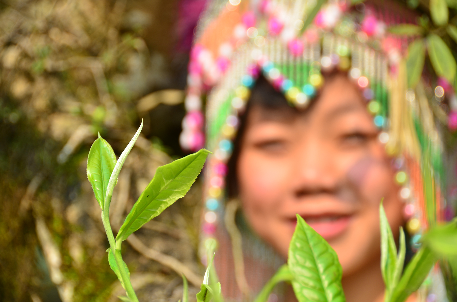 hoang su phi tay con linh ha giang tra