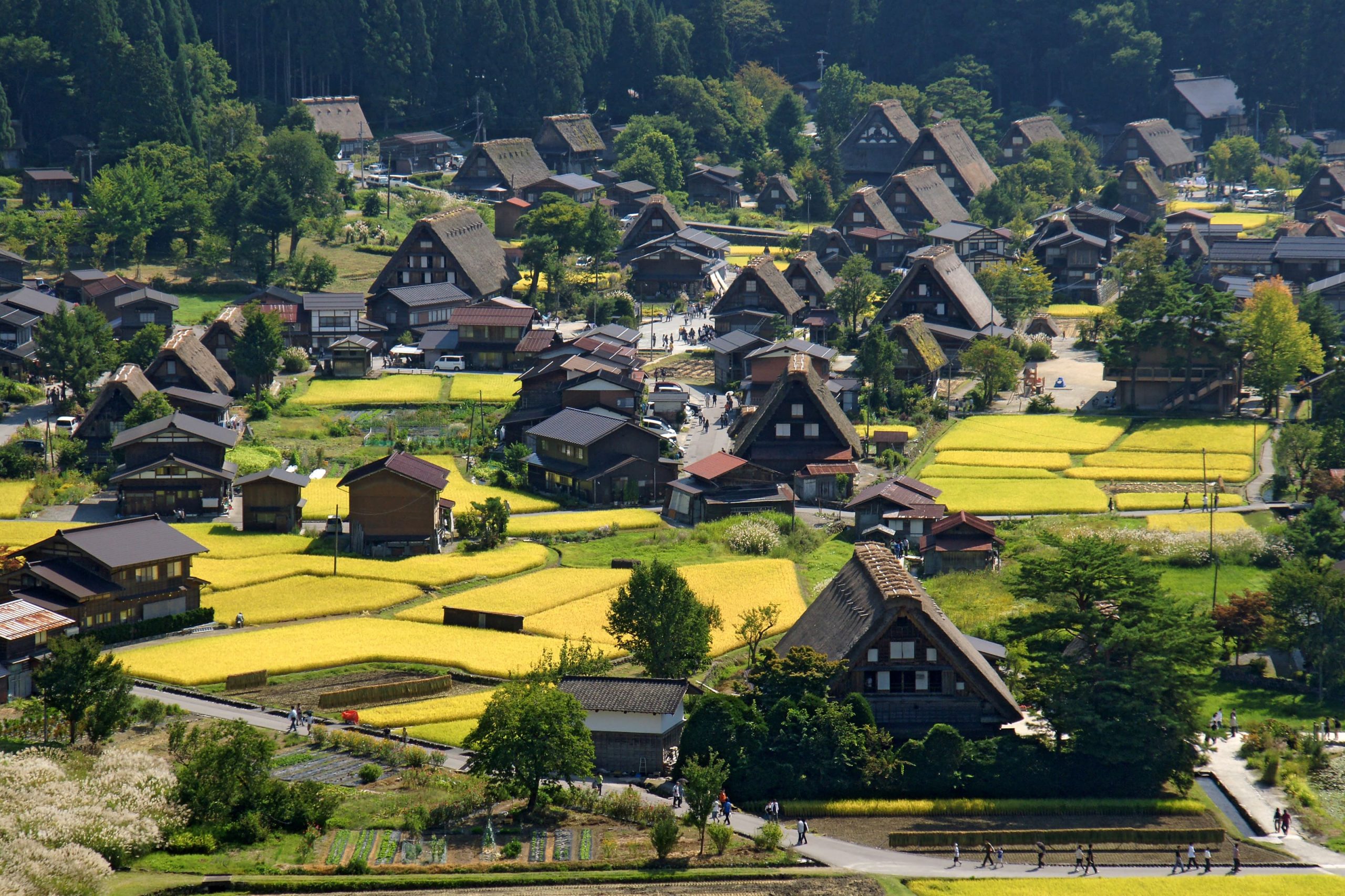 Làng cổ Shirakawa-go (Ogi) ở Shirakawa, tỉnh Gifu, Nhật Bản, năm 2009. Ảnh: 663highland