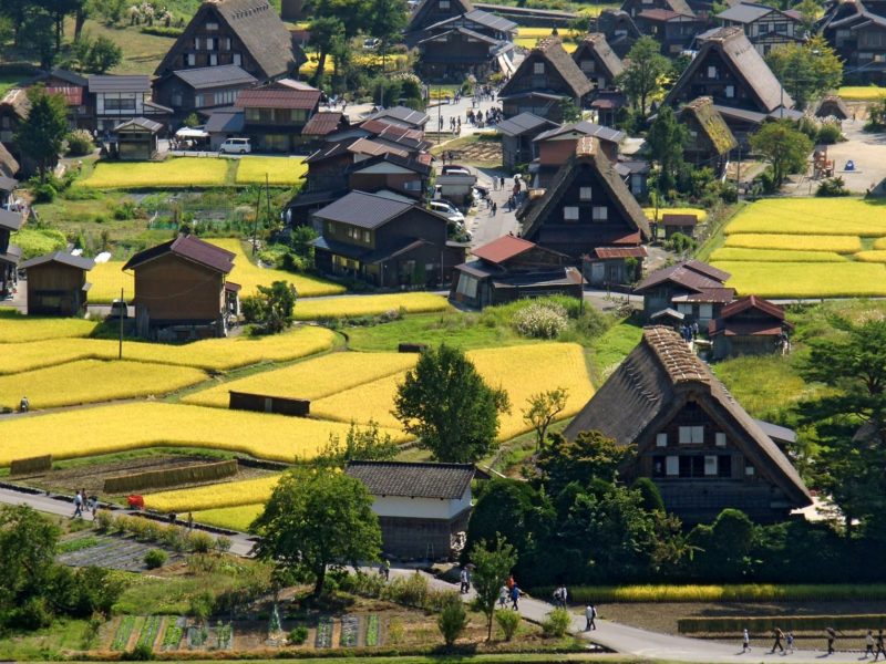 Làng cổ Shirakawa-go và lời nguyện cầu trong tuyết trắng