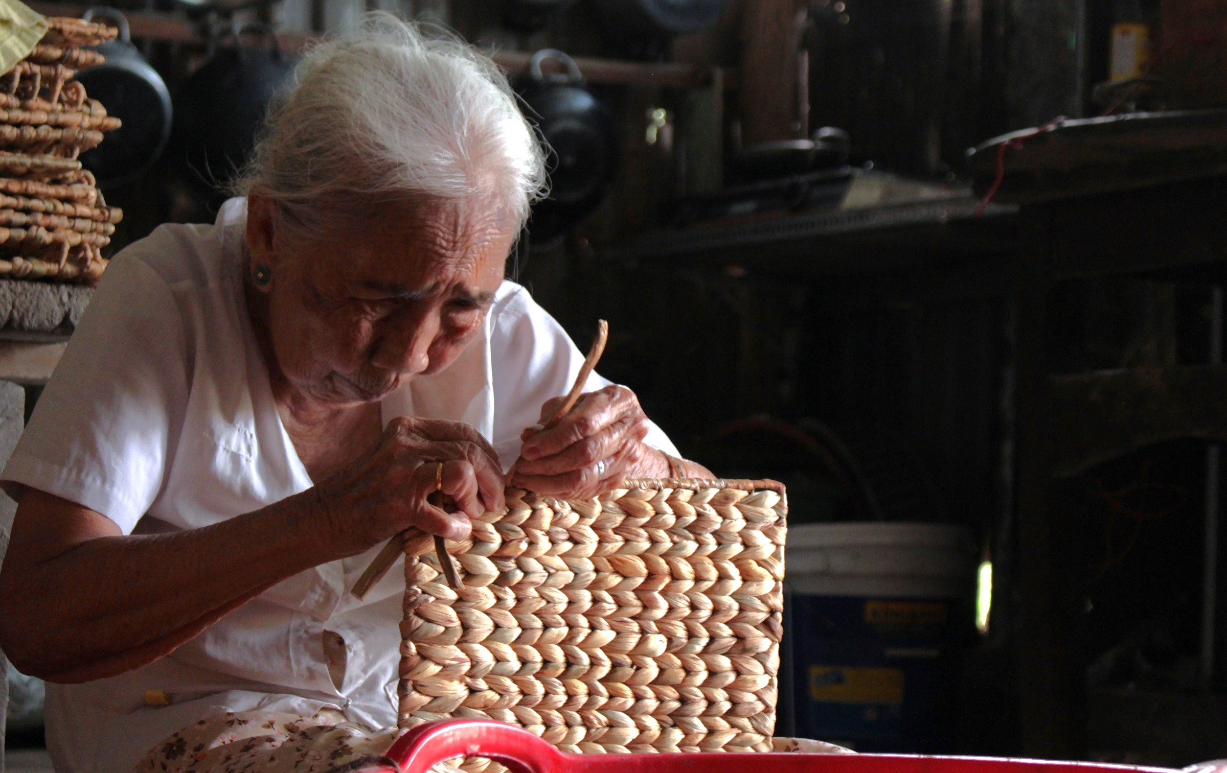 luc binh song hoa tim