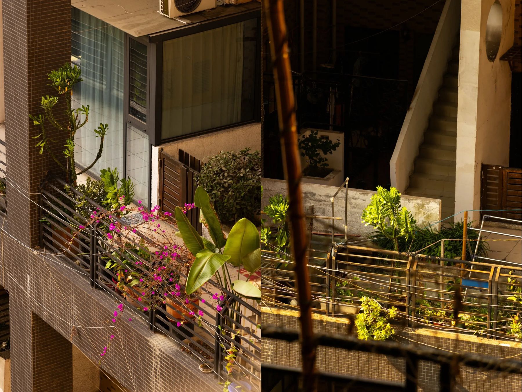 manhattan nature thanh do dollhouse nha bup be