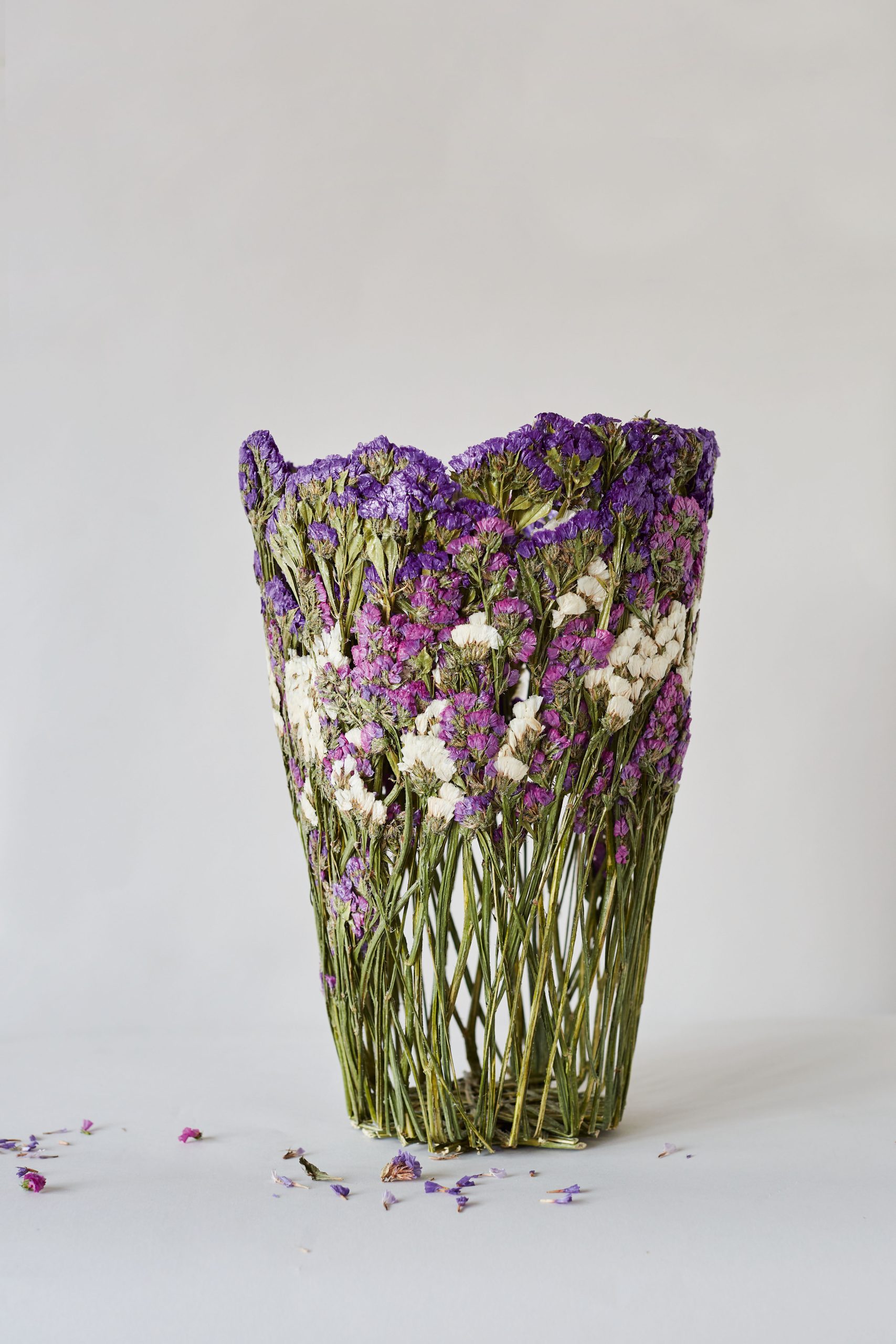 nghe si Shannon Clegg Rebecca Louise Law Ignacio Canales Aracil Marcin Rusak