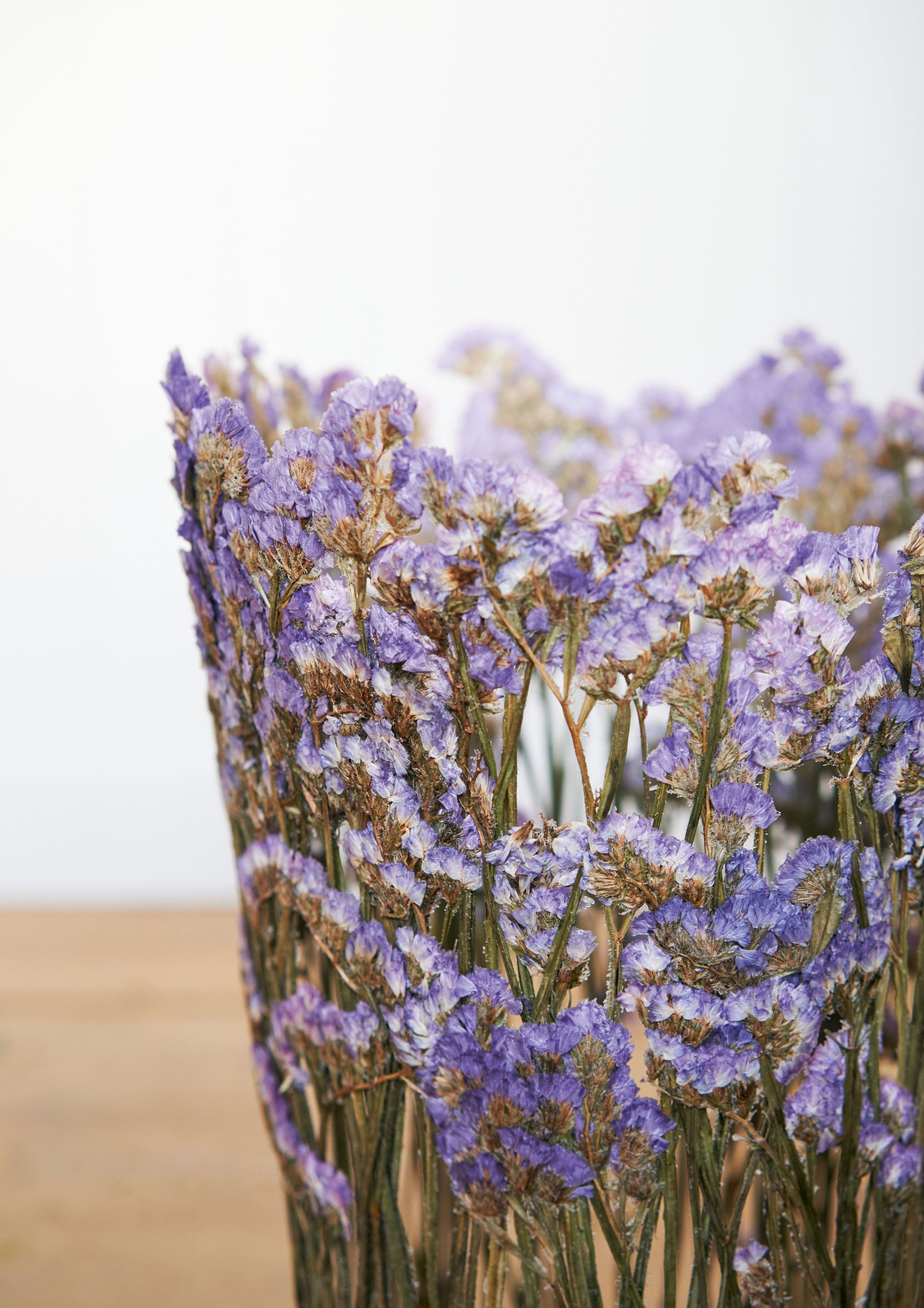 nghe si hoa kho Shannon Clegg Rebecca Louise Law Ignacio Canales Aracil Marcin Rusak