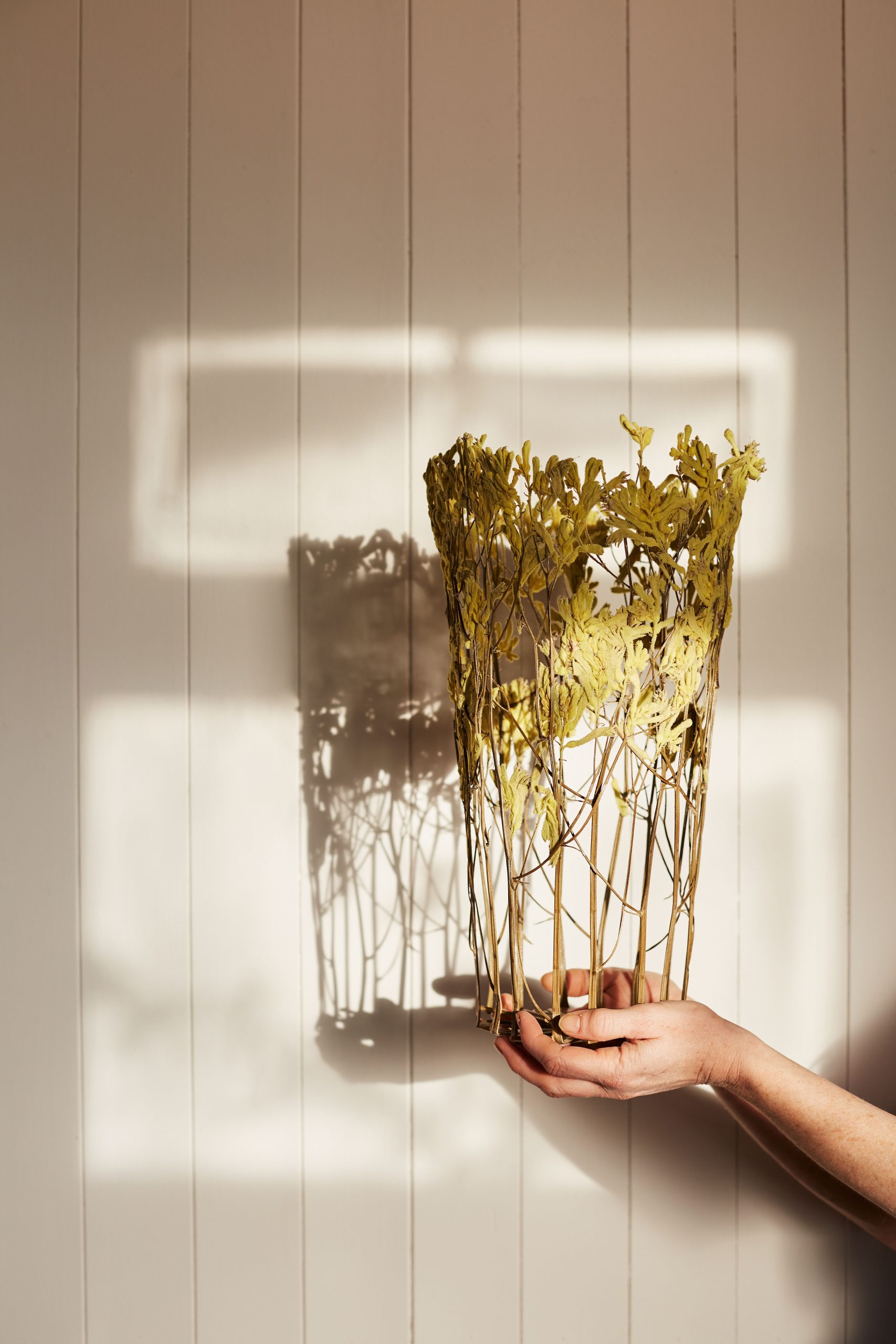 nghe si Shannon Clegg Rebecca Louise Law Ignacio Canales Aracil Marcin Rusak