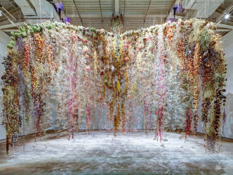 Hoa khô: Khi thời gian trở thành chất liệu sáng tác