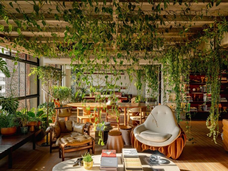 Căn hộ Varanda: Rừng nhiệt đới trong lõi bê tông