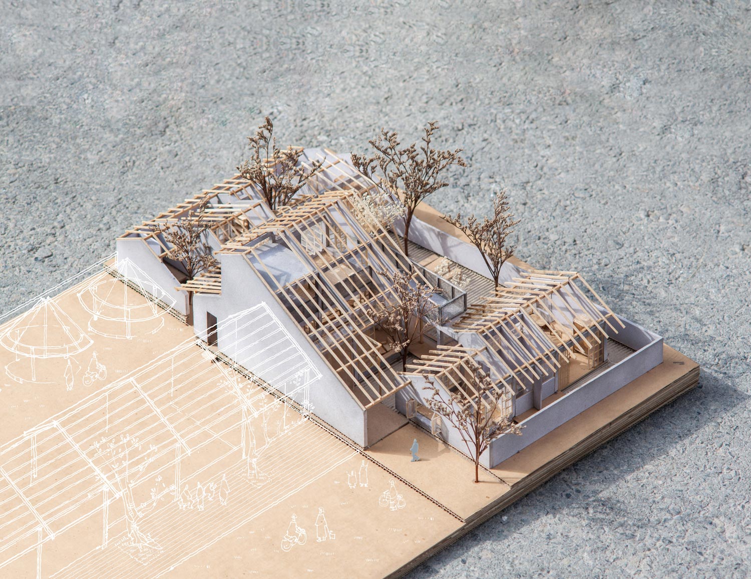 Khong gian song thich nghi 5