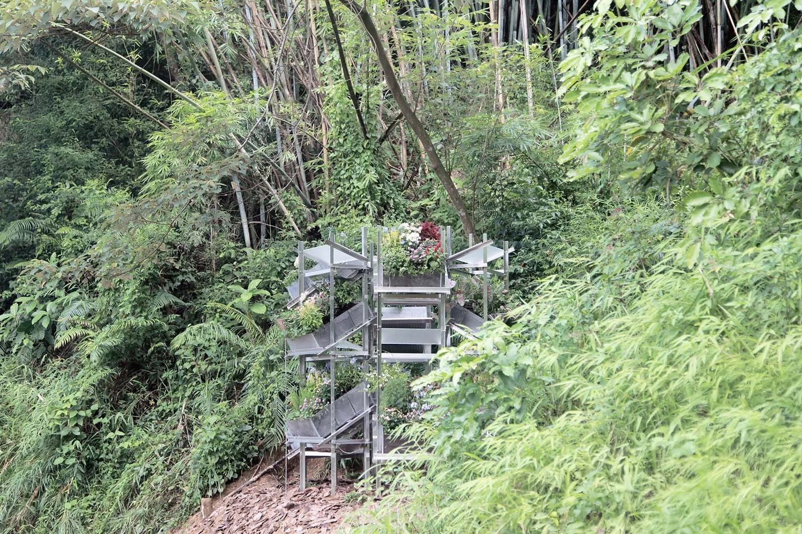 sinh thai rung gian giao flower room