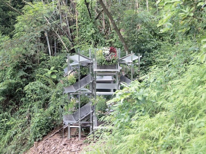 Flower Room: Nâng đỡ những mầm xanh bản địa