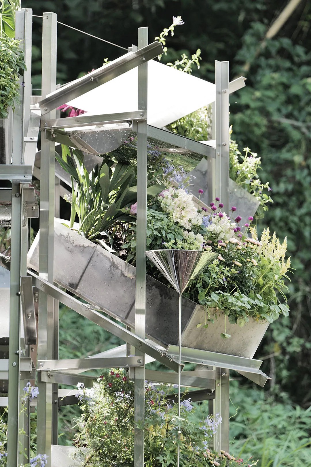 sinh thai trong cay lam vuon flower room