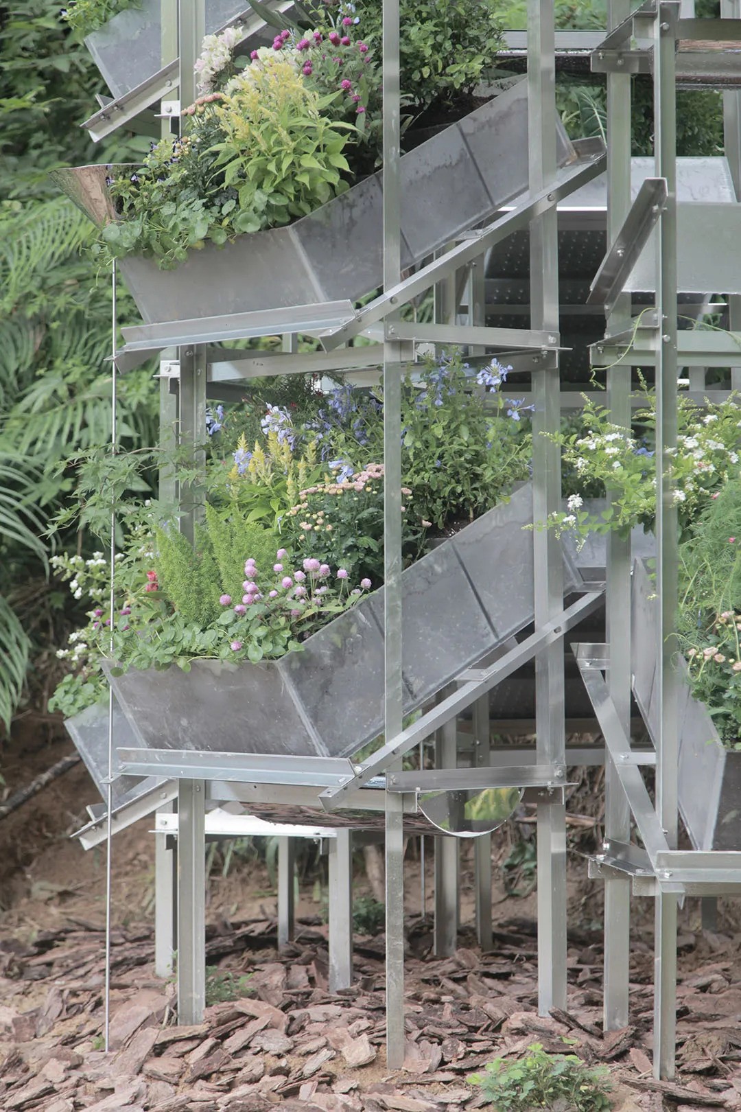 trong cay lam vuon flower room sinh thai