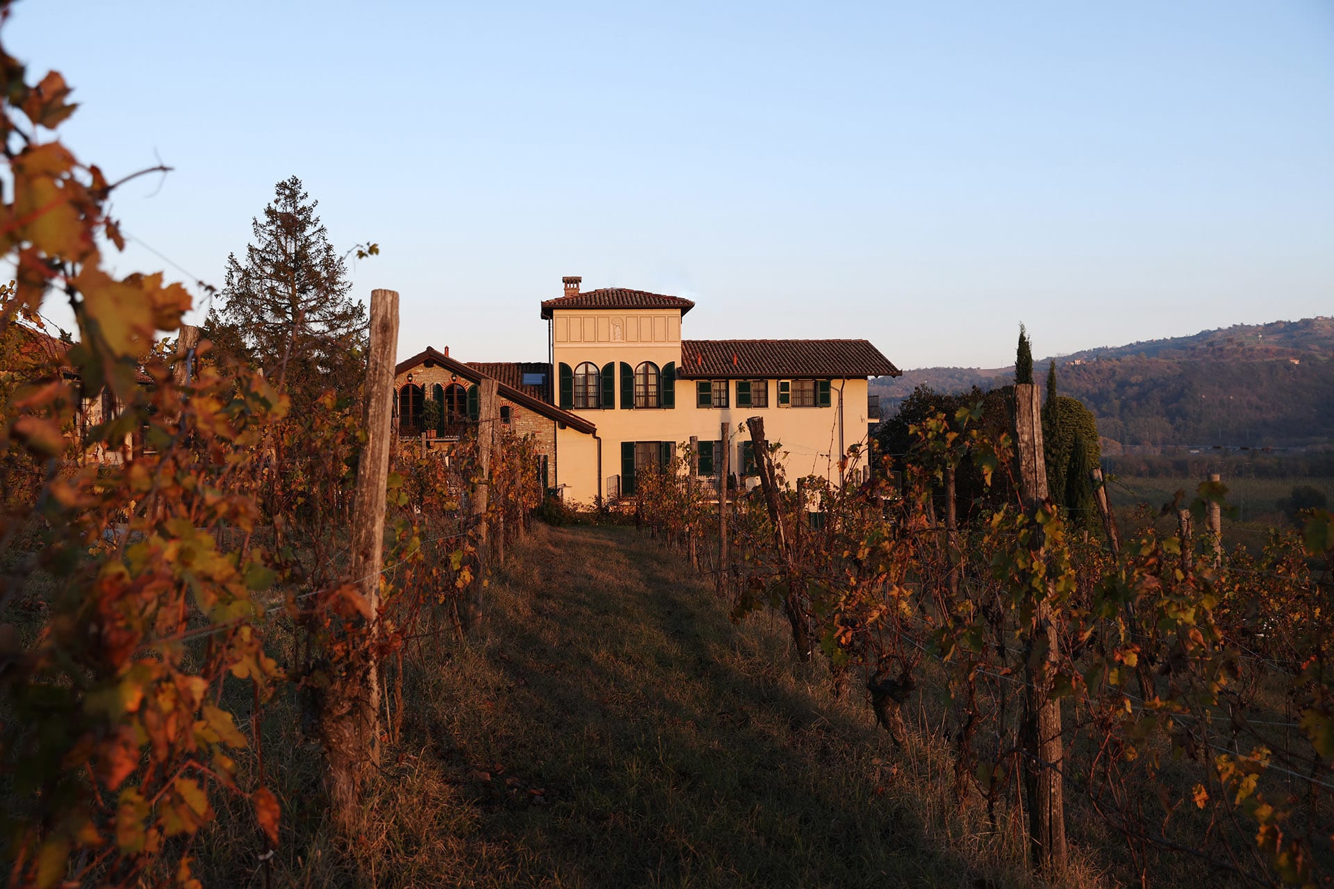 Villa La Madonna khach san winery tourism du lich ruou vang