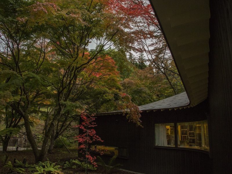 Ngôi nhà của Yuriko Takagi: Thi ca của những mùa qua