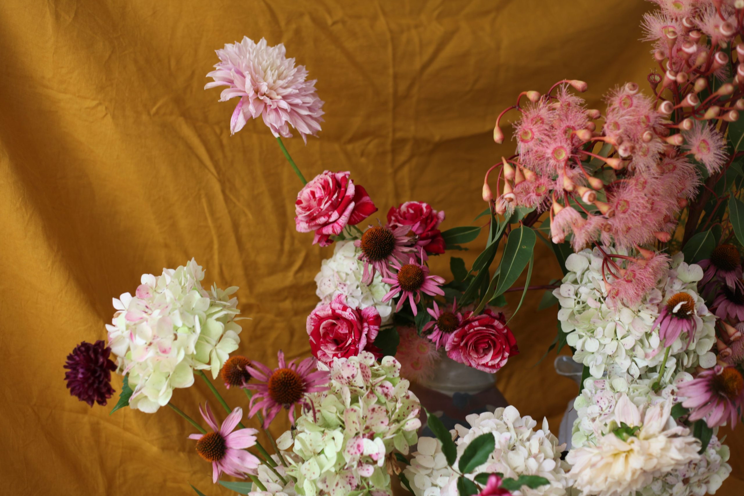 Anna Potter Shean Strong Gabriela Salazar Sammy Go Sophia Kaplan