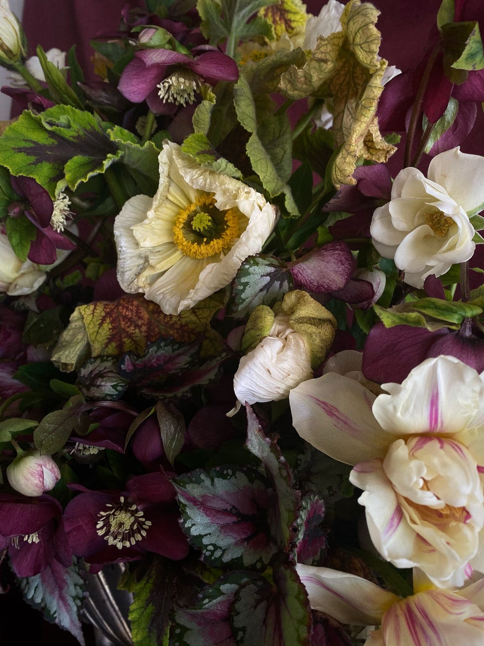 Anna Potter Shean Strong Gabriela Salazar Sammy Go Sophia Kaplan