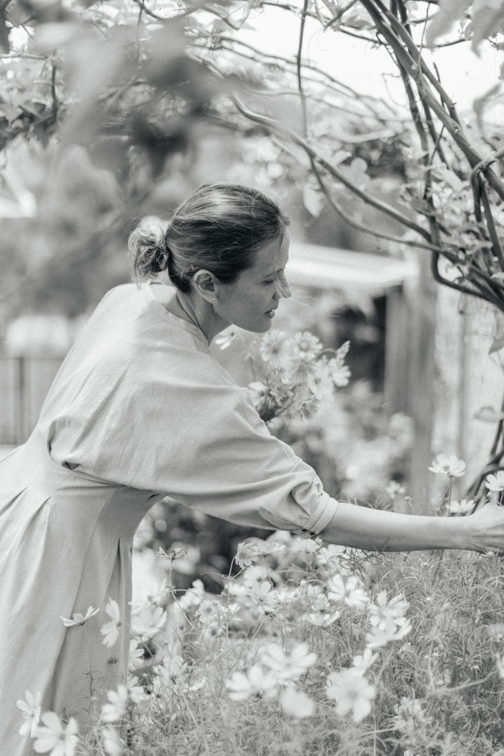 nghe thuat cam hoa Anna Potter Shean Strong Gabriela Salazar Sammy Go Sophia Kaplan