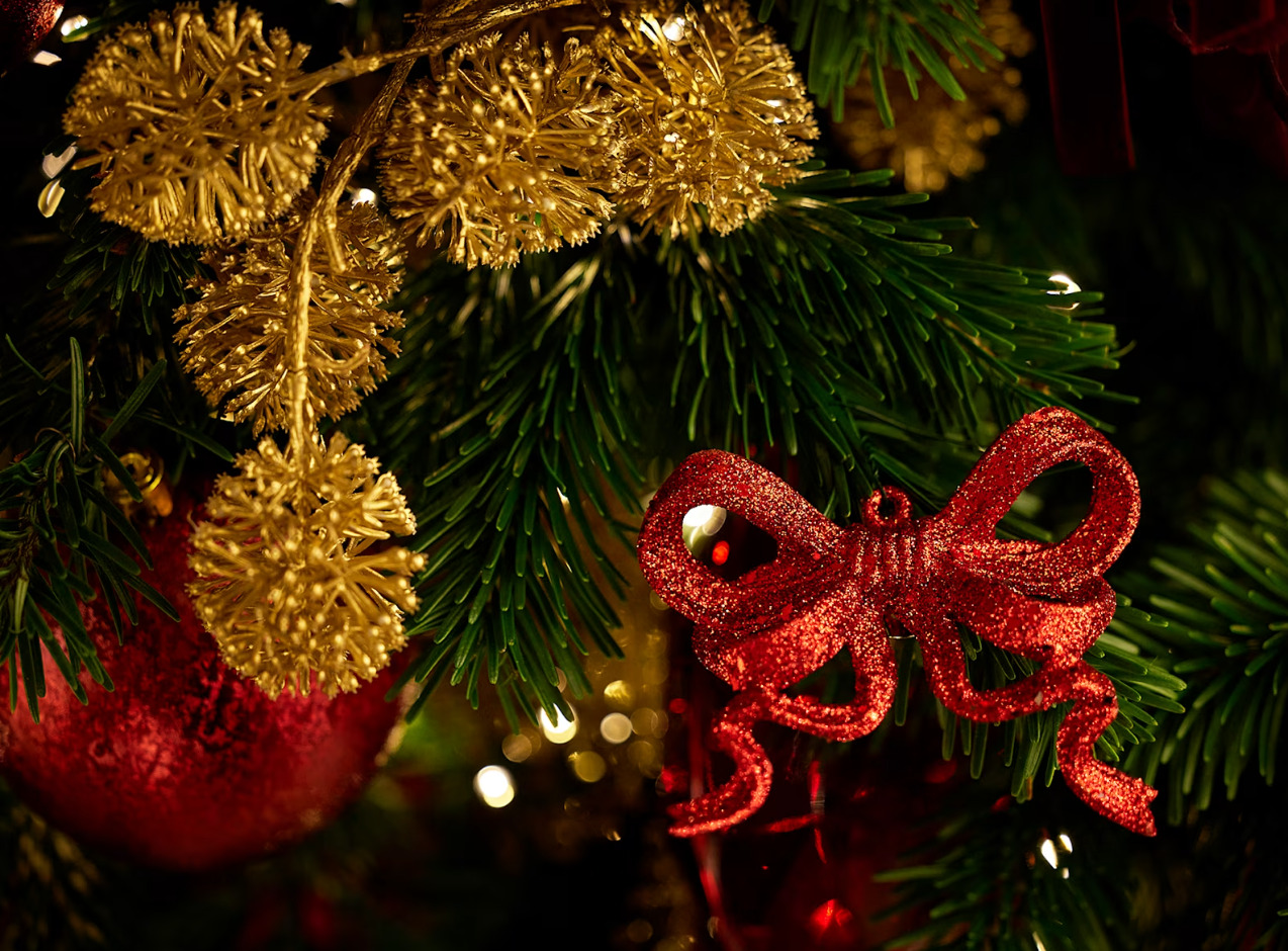 cay thong giang sinh christmas tree