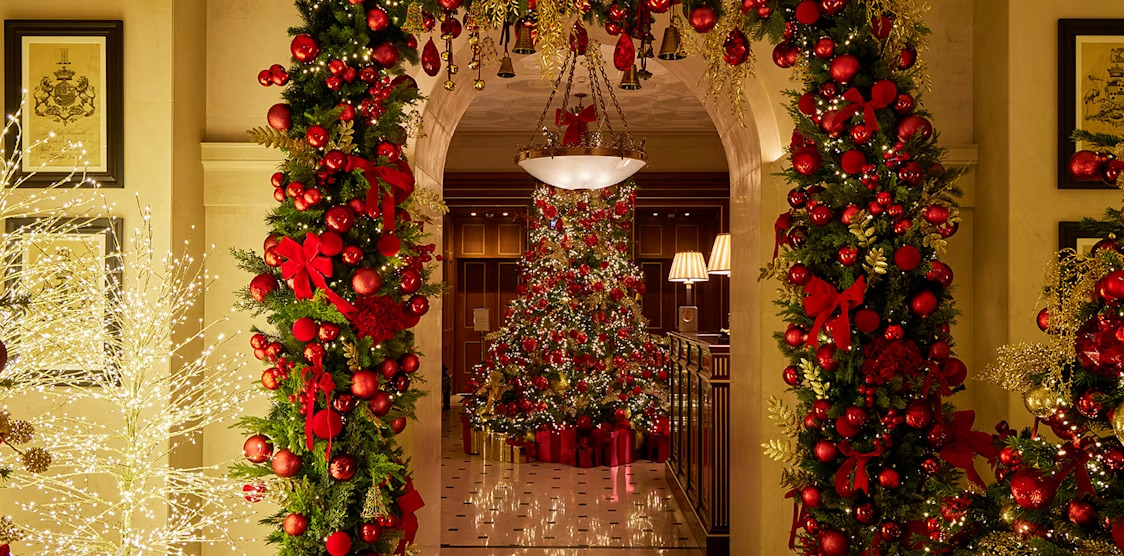 cay thong giang sinh christmas tree